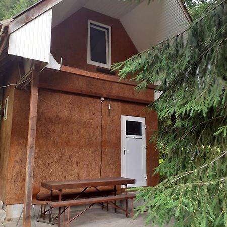 Cabana Valea Stanciului Rachitele Luaran gambar