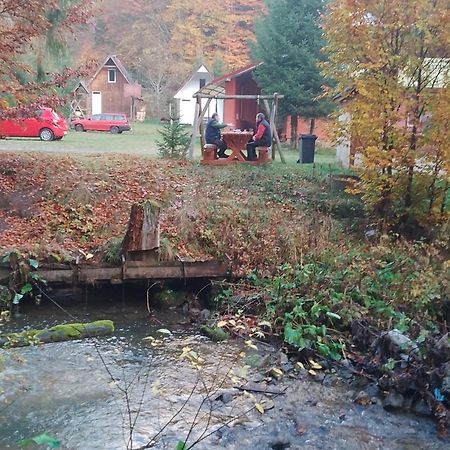 Cabana Valea Stanciului Rachitele Luaran gambar