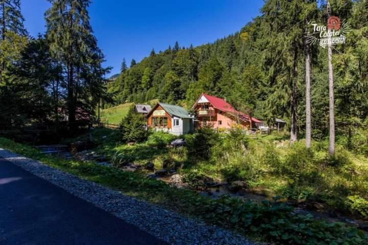 Cabana Valea Stanciului Rachitele Luaran gambar