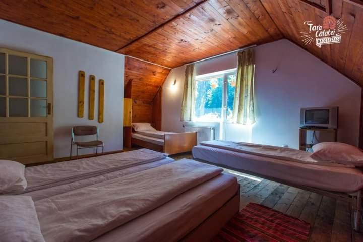 Cabana Valea Stanciului Rachitele Luaran gambar