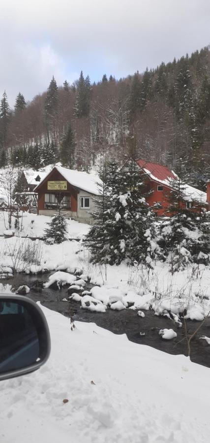 Cabana Valea Stanciului Rachitele Luaran gambar