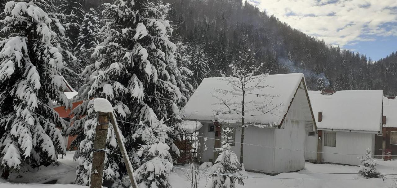 Cabana Valea Stanciului Rachitele Luaran gambar