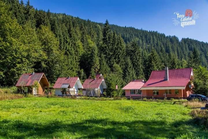 Cabana Valea Stanciului Rachitele Luaran gambar