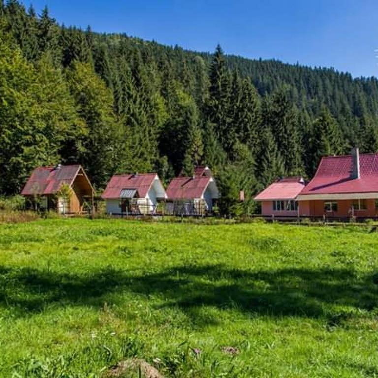 Cabana Valea Stanciului Rachitele Luaran gambar