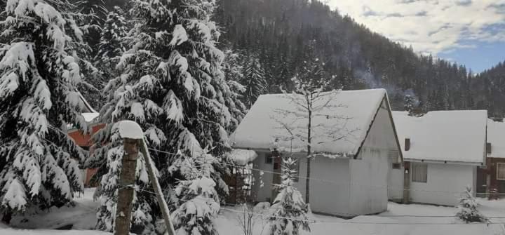 Cabana Valea Stanciului Rachitele Luaran gambar