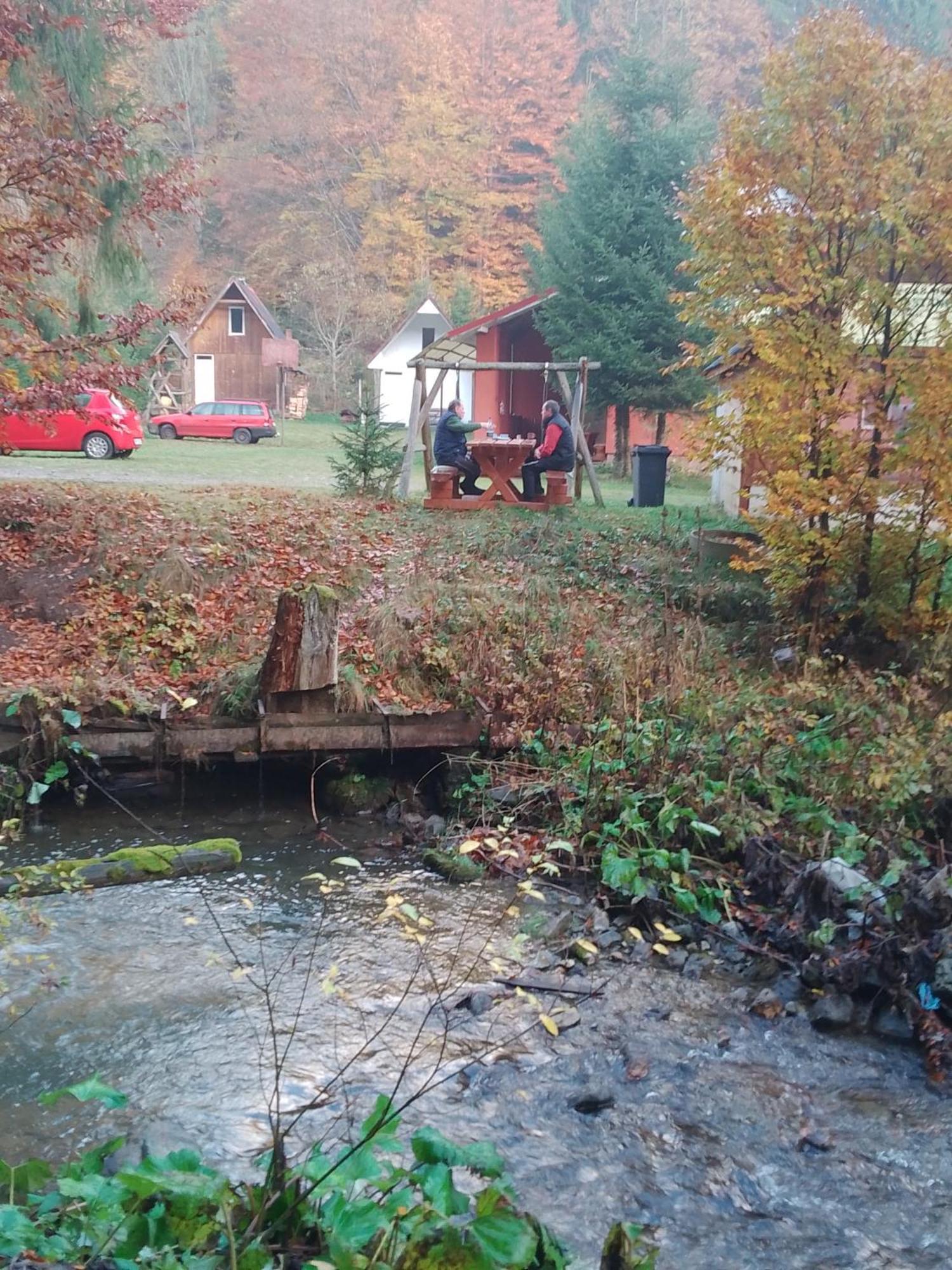 Cabana Valea Stanciului Rachitele Luaran gambar