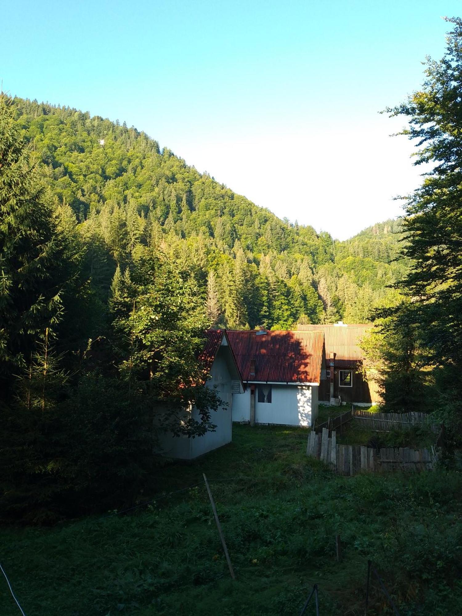 Cabana Valea Stanciului Rachitele Luaran gambar