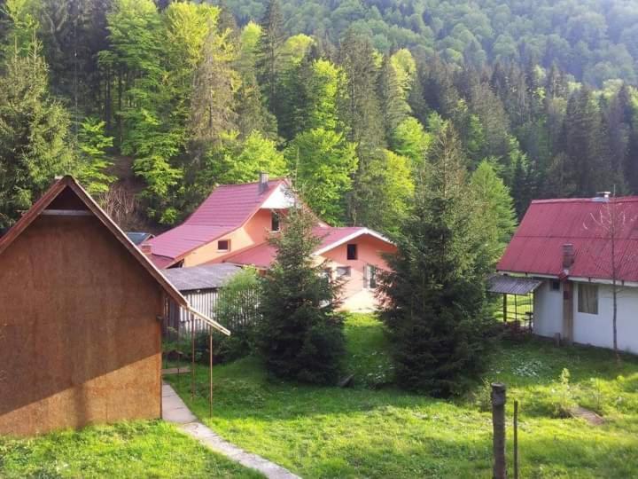 Cabana Valea Stanciului Rachitele Luaran gambar